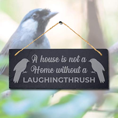 Stukk Vogelschild aus Schiefer mit Lasergravur House is Not Home Without Laughingthrush, Stein Jute, Naturgravierte Schiefersteinplakette, 30x12cm von Stukk