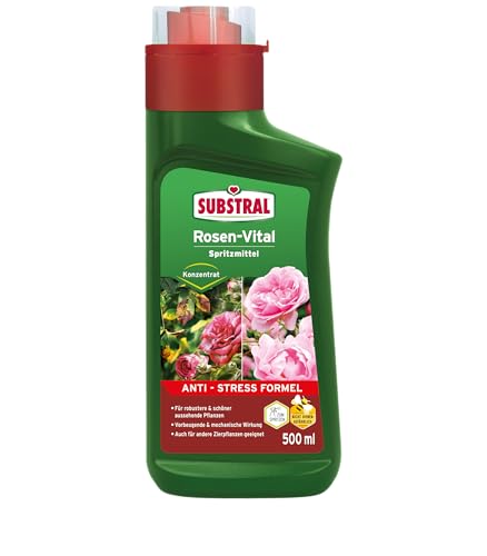 Substral Rosen-Vital mit Anti-Stress-Formel, 500ml, zur Stabilisierung gestresster Pflanzen - für schönere Rosen von Substral