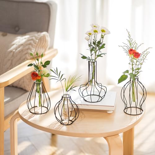 Sziqiqi Metall Geometrisch Glas Vase - Mini Schwarz Pflanzenständer Set von 4 Minimalistische Outline Blumenvasen für Hydrokultur Moderne Reagenzgläser Gestell Vasen für Tisch Wohnzimmer Schlafzimmer von Sziqiqi