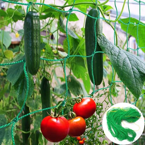 Rankhilfe Gurken Ranknetz für Gurken - Rankhilfe Garten Tomaten, Sehr Passend Netz für Kletterpflanzen Gewächshaus Zubehör, Pflanzennetz 180x270 für Garten Gewächshaus von TAIHE