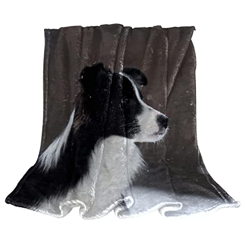 Plüschdecke, Nickerchendecke, Warm Cosy Soft, Mikrofaserdecken,Tier Border Collie Hund von TBOUOBT