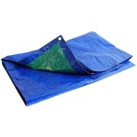 Tecplast - Plane für Malerarbeiten 5x8 m 150PE - Blau und Grün - Hohe Qualität - Schutzplane Malerarbeiten für Böden und Möbel von TECPLAST