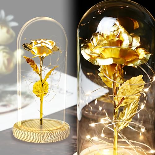 TINYOUTH Golden Rose in Glas, 24K Ewige Rose in Glas mit Beleuchtung Batterien Inklusive Schöne und das Biest Rose für Hochzeit Jubiläum Mama Valentinstag Weihnachten Geburtstag von TINYOUTH