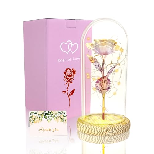 TINYOUTH Bunt Rose in Glas, 24K Ewige Rose in Glas mit Beleuchtung Batterien Inklusive Schöne und das Biest Rose von TINYOUTH