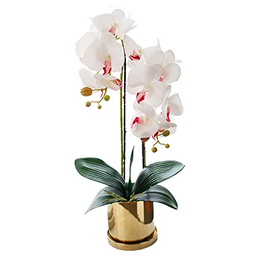Kunstpflanze Orchidee weiß mit Porzellantopf, künstliche Blumen und Pflanzen für Innendekoration, realistisch und lebensecht (Weiß, 60 cm von TK28MN