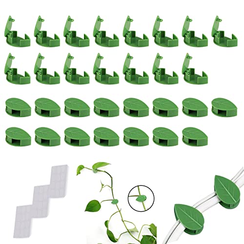 30 Stück Kletterpflanzen Clip pflanzen wandclips für pflanzen pflanzenclips wand grün pflanzenclips wand saugnapf wandclips Selbstklebend Kleben Für Heimdekoration,kabelbefestigung Organizer von TMRBBesty