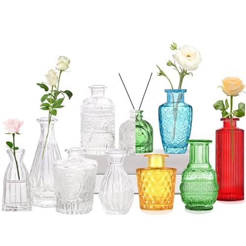 Mini Vasen Glas Set 10er,Bunt Glasvasen für Tischdeko Vintage Blumenvase Hochzeit Office Garden Décor Als Einzugsgeschenk für Freunde und Familie Verwendet Werden von Tobengda
