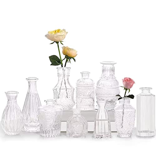 Mini Vasen Set, 10St Kleine Glasvase Vintage Deko Vasen Set Verschiedene Groessen Blumenvase für Tischdeko Mittelstücke, Hochzeitsdekorationen Transparent von Tobengda