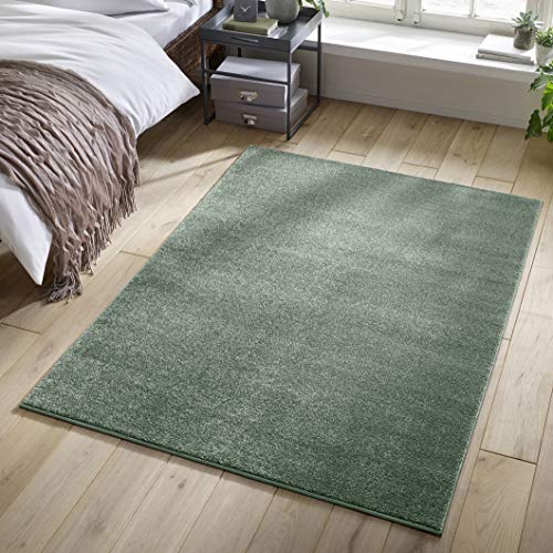 TacaHome Kurzflor Teppich Designer I Flauschiger Flachflor fürs Wohnzimmer, Esszimmer, Schlafzimmer oder Kinderzimmer | 80 x 150 cm Mint Grün von TacaHome