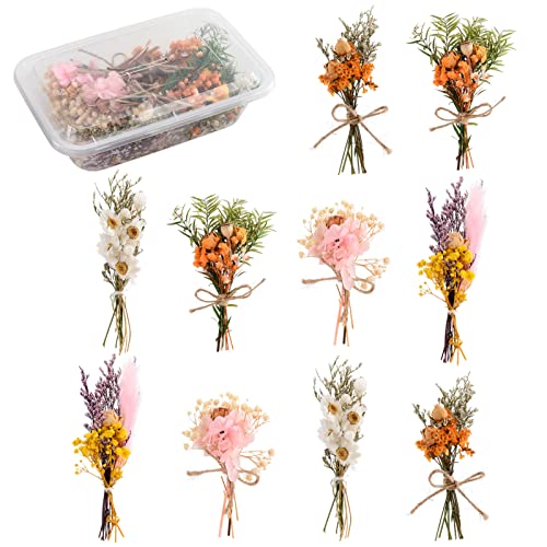 Tanant 10 STÜCKE Mini-Trockenblumensträuße, Getrocknete Blumenblätter, Pflanzenstielbündel für DIY-Bastelarbeiten, Foto-Requisiten, Getrocknete Prägeblumenbündel für Hochzeit, Zuhause,(#1) von Tanant