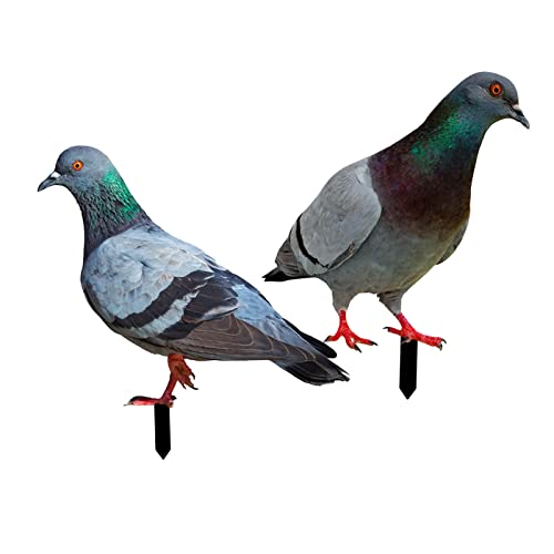 2X Tauben Gartenpfahl Lebensechte Tauben Skulptur Kreative Vogelfiguren Acryl Tierpfähle for Hinterhof Rasen Outdoor Ornament von Tbkoly