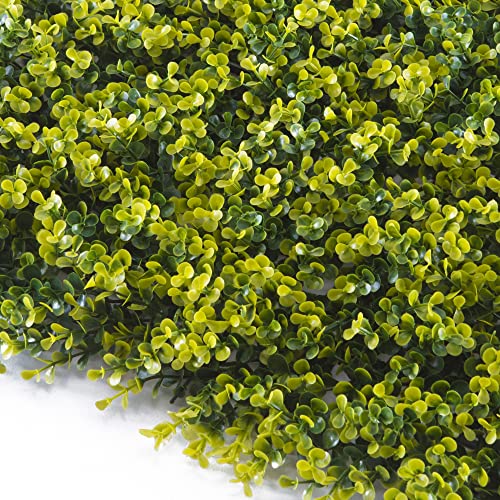 TENAX Divy Panel Buxus 0,5x0,5 m Grün, Synthetische Hecke mit Buchsbaumblättern aus zusammensetzbaren Modulen zur vertikalen Gartenwanddekoration von TENAX