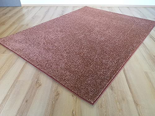 Miami Teppich Rosenholz rosa Rose Velours umkettelt - Verschiedene Größen (200 x 250 cm) von Teppich Janning