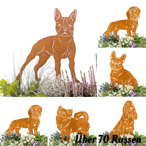 Terma Stahldesign Edelrost Hund Verschiedene Rassen, Handmade Germany, tolle gartendeko aus Rost-Metall, deko rostoptik, Rostfiguren Tiere, rostfiguren Garten, Rostdeko (Boston Terrier) von Terma