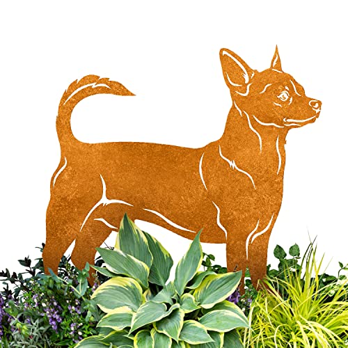 Terma Stahldesign Edelrost Hund Verschiedene Rassen, Handmade Germany, tolle gartendeko aus Rost-Metall, deko rostoptik, Rostfiguren Tiere, rostfiguren Garten, Rostdeko (Chihuahua Kurzhaar) von Terma