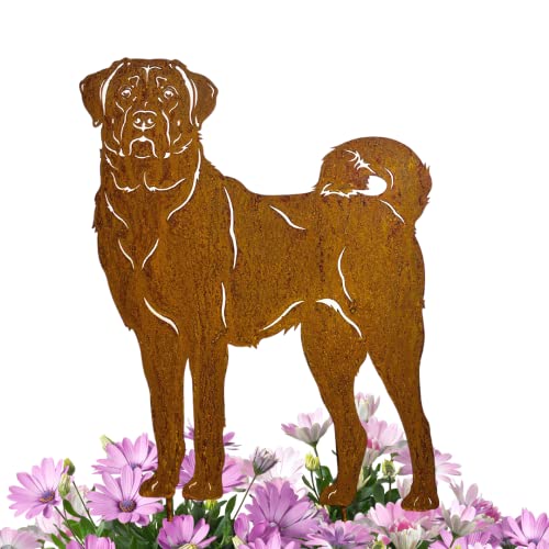 Terma Stahldesign Edelrost Hund Verschiedene Rassen, Handmade Germany, tolle gartendeko aus Rost-Metall, deko rostoptik, Rostfiguren Tiere, rostfiguren Garten, Rostdeko (Kangal-Hirtenhund) von Terma