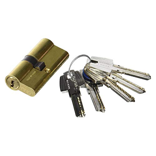 tesa T60 – Zylinder 5 Schlüssel E32 2030/30 x 60 messingfarben von Tesa Assa Abloy