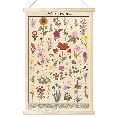 Vintage Wildblumen Poster botanische Wandkunstdrucke bunter rustikaler Stil des floralen Wandbehangs Illustrative Referenz Blumendiagramm Poster für Wohnzimmer, Büro, Dekorrahmen, 40 x 60 cm von Tevxj