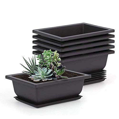 Tiamu 6 Pack Bonsai-Blumentopf, Bonsaischale Deep Wet Tray mit Eingebautem Netz, Kunststoff Pflanztopf für Pflanzen, Blumen, Kräuter, Quadratische Plastiktöpfe 22.5X16.5cm von Tiamu