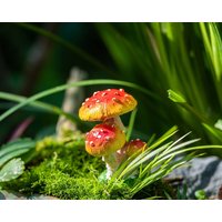 5 cm Miniatur Fairytiny Tri-Pilze Fairy Gartenbedarf & Zubehör Terrarium Figuren Orange von TizzleByTizzle