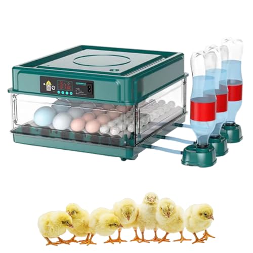 Brutautomat Vollautomatisch, 2024 Brutmaschine Vollautomatisch Inkubator Hühner, Brutkasten Hühner mit Automatischem Eierdrehen und Automatischer Wasserzugabe für Zucht von Hühnern (36 Eier) von Toerjii