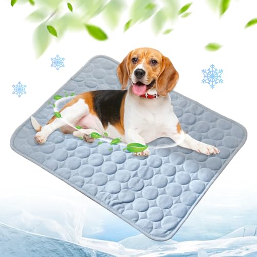 Kühlmatte für Den Sommer, Kühlmatte Hund, Hundekühlmatte für Hund & Katze Selbstkühlende Matte für Haustiere Summer Pet Ice Pad Abrieb- und Bissfest Natürliche Kühlung (Hellblau, XXL(150*100CM)) von Toerjii