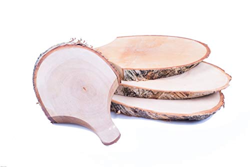 Traditionelle Holzprodukte Servierplatte für party 4 Stück, Brotzeitbrett mit Handgriff 25-31 x 11-16 x 2 cm baumscheiben horeca von Traditionelle Holzprodukte