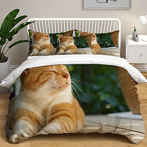Treer Bettwäsche Set 3D Katze Bettbezüge Für Kinder Erwachsene 3D Haustier Druck Mikrofaser Bettbezug mit Reißverschluss+2 Kissenbezug 50x75cm (orangene Katze,200x200cm) von Treer-shop