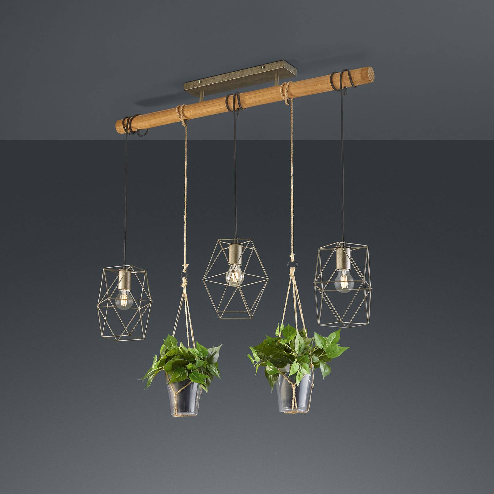 Hängelampe Plant, 3-flg. mit Gläsern für Deko von Trio Lighting