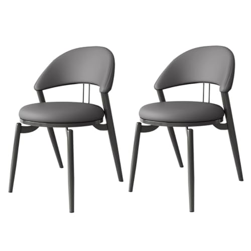 Tyewmiy Stühle Set aus Zwei Esszimmerstühlen, Stühlen, Esstisch und Stühlen in 6 Farben, Rückenlehnenhockern Dining Chairs (Color : F) von Tyewmiy