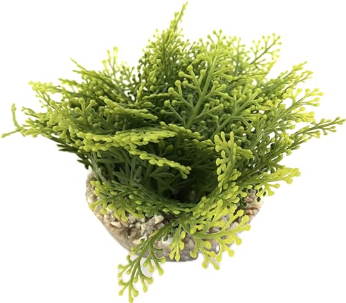 Tyrol - Künstliche Aquarienpflanze XL 20 cm – Dekoration für Aquarium – Zimmerpflanze aus Kunststoff auf Sockel – Moosteppich grün – einfache Verankerung am Boden des Aquariums – hergestellt in von Tyrol