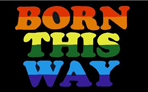 U24 Flagge Fahne Born This Way Regenbogen 90 x 150 cm von U24