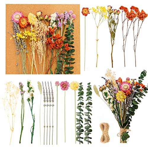 30 Stück Natürliche Getrocknete Blumen,11 Sorten Echte Trockenblumenstrauß Trockenblumen Deko für Vase,Kunst Basteln Handwerk,Tischdekoration DIY Dry Flower Bouquet Set von UMILKI