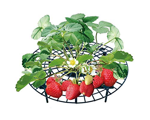UPP Erdbeerreifer Set | Einstellbarer Fruchtreifer aus Kunststoff | Rankhilfe für Erdbeeren, Gemüse & Blumen | Natürlicher Schneckenschutz | Erdbeergitter schützen vor Fäulnis & Schimmel [20Stk.] von UPP