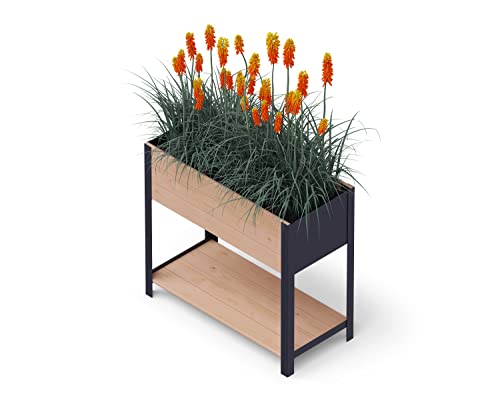 Upyard Holz Hochbeet für Garten, Terrasse und Balkon - Blumenkasten mit Innenvlies und wasserdichter Kunststoffeinlage - Pflanzkasten für Innen- und Außenbereich, 78x36x72, Braun von Upyard