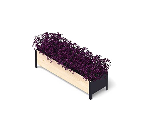 Upyard Holz Hochbeet für Garten, Terrasse und Balkon - Blumenkasten mit Innenvlies und wasserdichter Kunststoffeinlage - Pflanzkasten für Innen- und Außenbereich, 118x36x32, Natur von Upyard