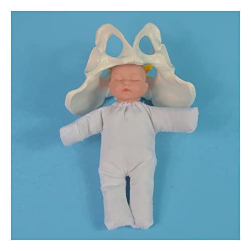 Uziqueif Mini Weibliches Pelvis und Baby Simulator Modell - Weibliches Pelvis Geburt Modell - Standard Geburt Simulator mit Modellen von Baby Pelvis für Studien Anzeige Teaching MedicalModell von Uziqueif