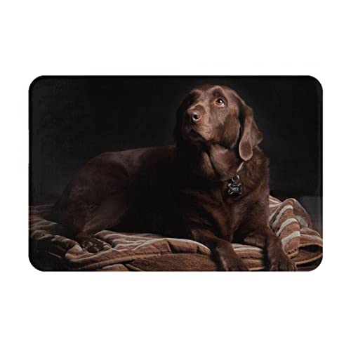 VAGILO Braune Labrador-Flanell-Fußmatte, 40,6 x 61 cm, leicht zu reinigen und langlebig, Eingangsmatte für alle Jahreszeiten, Küchenmatte, Badezimmer-Fußmatte, Outdoor-Matte, Indoor-Matte von VAGILO