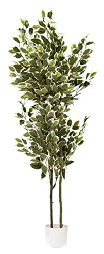 VEA SRL Pflanze G. FICUS 150cm CHI57991 von VEA SRL