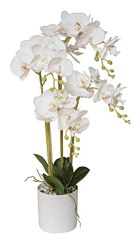 VEA SRL Pflanze Gr. Orchidee Real Touch 75 cm 5806 von VEA SRL
