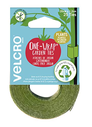 VELCRO Marke VEL-30664-WEU EIN-WRAP Pflanzenbinder 25 Stück vorgeschnitten, geeignet für Gartentomaten Blumen oder Gemüse in Hochbeeten, 20 cm x 1,2 cm, grün - recycelter Kunststoff von VELCRO Brand