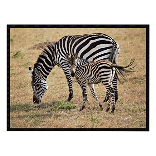 VERO HOME 15313 Fußmatte | Motiv Natur Zebra | Für Ihren Eingangs-Bereich | Maße: 80 x 60 cm von VERO HOME