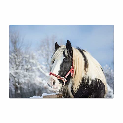 Vero Home 14729 Glas-Schneidebrett | Motiv Gefühle Pferd | rutschfest, kratzfest und lebensmittelecht | Maße: 39 x 29 cm von VERO HOME