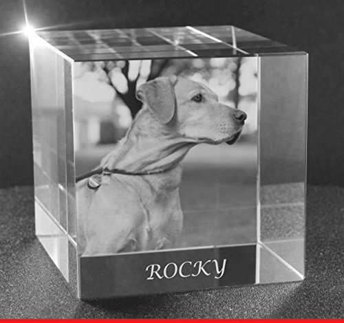 VIP-LASER 2D Gravur Glas Kristall Würfel mit Deinem Hundefoto - Hund. Dein Wunschfoto für die Ewigkeit Mitten in Glas! Groesse XXL = 80x80x80mm von VIP-LASER