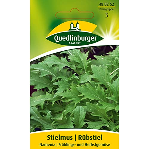 Rübstiel, Stielmus, Namenia, ca. 80 Samen von Quedlinburger
