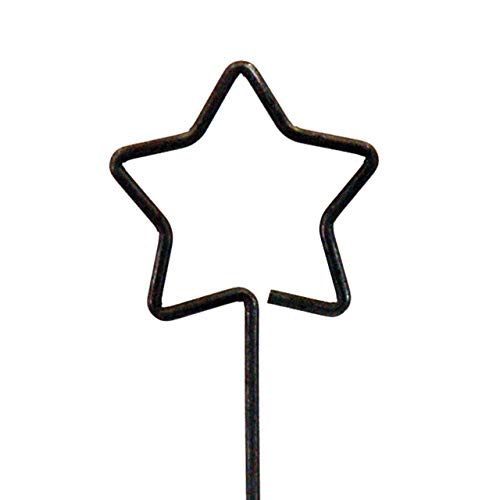 Videx-Pflanz- und Zierstab Stern, Roheisen, Höhe 150cm von Videx