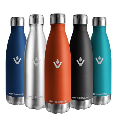 Vikaster Water bottle, 500ml Thermosflasche, BPA-frei Trinkflasche, Auslaufsicher Wasserflasche für Schule, Sport, Fahrrad, Camping, Fitness, Outdoor von Vikaster