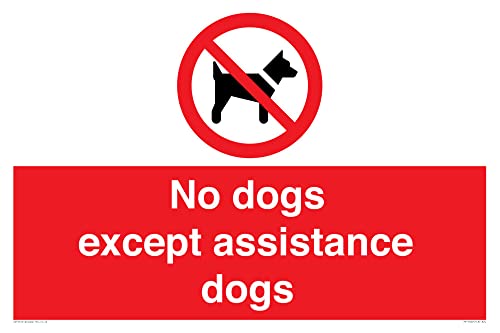 Schild mit Aufschrift "No dogs except aid dogs", 600 x 400 mm, A2L von Viking Signs