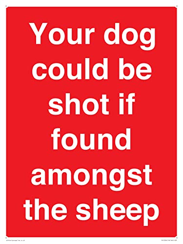 Schild mit Aufschrift "Your dog could be shot if found among the sheep", 300 x 400 mm, A3P von Viking Signs