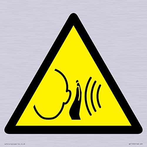 W038 Warnung: Plötzliches lautes Geräusch, 200 x 200 mm, S20 von Viking Signs